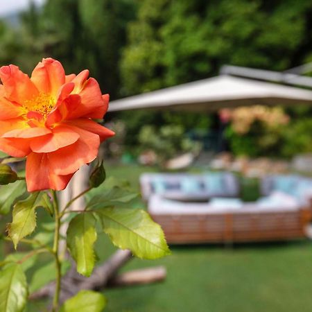 Parkhotel Brenscino Brissago Bagian luar foto