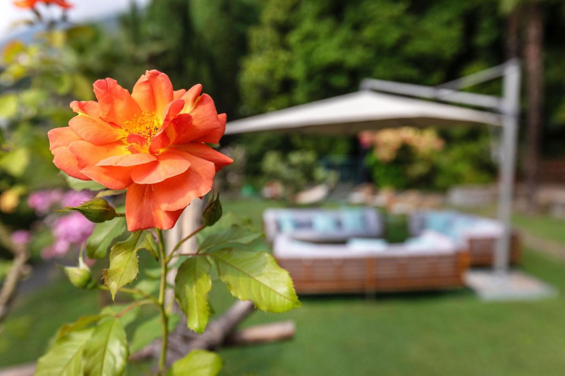 Parkhotel Brenscino Brissago Bagian luar foto